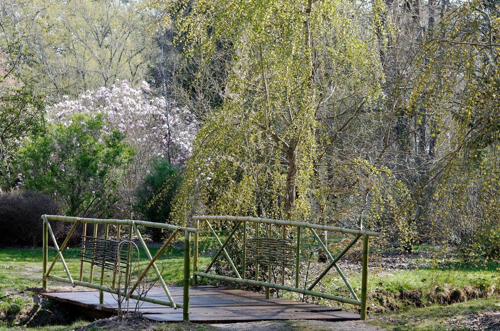 Bed and Breakfast La Demeure D'Aglae Villeneuve-sur-Allier Exterior foto